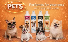 10% Off - Pet Essentials (Orders Above 200 QAR)